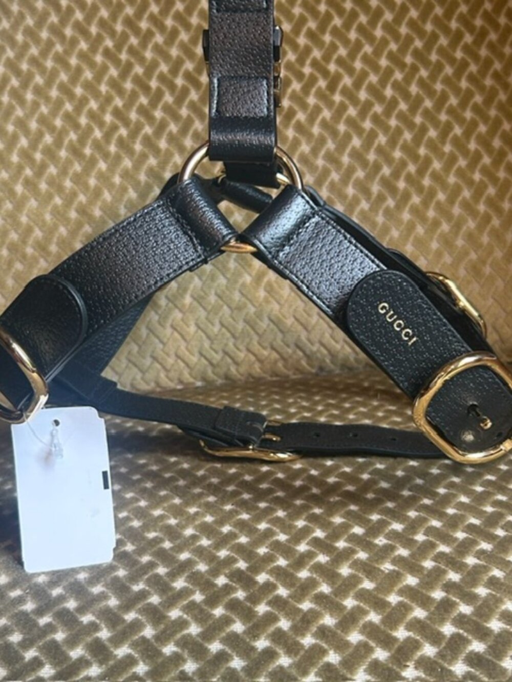Gucci Demetra Rich  Black Leather GUCCI Hardware Adjustable Buckle Pet Harness